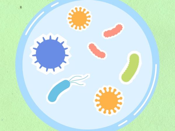 Superbug: An Amoebaean&nbsp;Eclogue