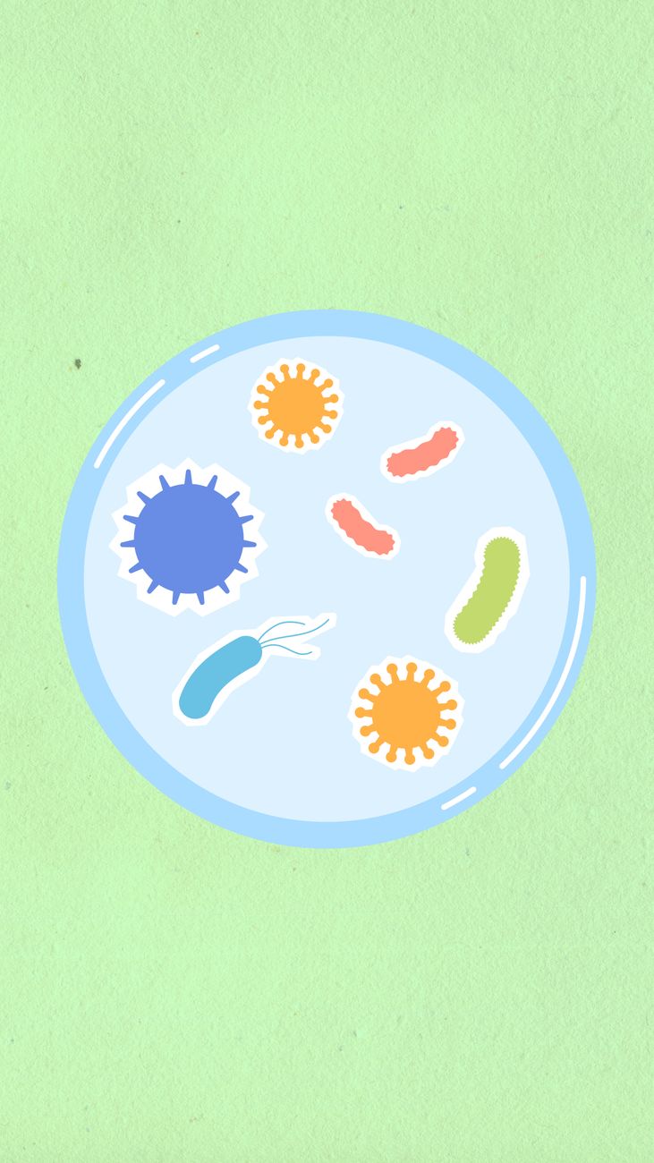 Superbug: An Amoebaean&nbsp;Eclogue