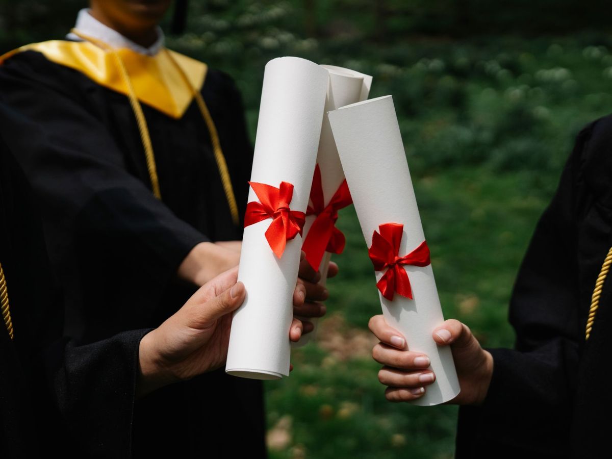 Love in the First-Class&nbsp;Degree